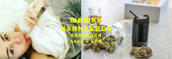 PSILOCYBIN Вязники